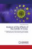 Analysis of the Effects of the COVID-19 Crisis