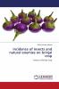Incidence of insects and natural enemies on brinjal crop
