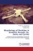 Morphology of Dentition in Domestic Animals: Ox Swine and Canine