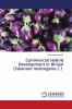 Commercial Hybrid Development in Brinjal (Solanum melongena L.)