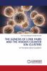 THE GENESIS OF LONE PAIRS AND THE HIDDEN COUNTER ION CLUSTERS