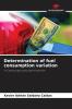 Determination of fuel consumption variation