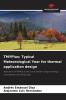 TMYPlus: Typical Meteorological Year for thermal application design