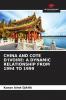 CHINA AND COTE D'IVOIRE: A DYNAMIC RELATIONSHIP FROM 1994 TO 1999