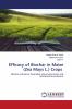 Efficacy of Biochar in Maize (Zea Mays L.) Crops