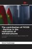 The contribution of FICOD - Burkina in the realization of infrastructures