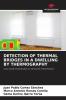 DETECTION OF THERMAL BRIDGES IN A DWELLING BY THERMOGRAPHY