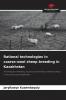 Rational technologies in coarse-wool sheep breeding in Kazakhstan