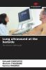 Lung ultrasound at the bedside