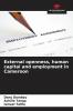External openness human capital and employment in Cameroon