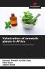 Valorization of aromatic plants in Africa