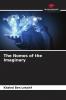 The Nomos of the Imaginary