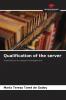 Qualification of the server