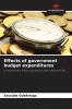 Effects of government budget expenditures