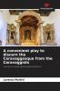 A convenient ploy to discern the Caravaggesque from the Caravaggists