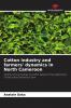 Cotton industry and farmers' dynamics in North Cameroon