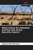 What status for Palestine and the role of the Security Council