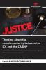 Thinking about the complementarity between the ICC and the CAJDHP