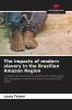 The impacts of modern slavery in the Brazilian Amazon Region