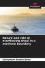 Nature and role of overflowing shoal in a maritime boundary