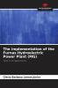 The implementation of the Furnas Hydroelectric Power Plant (MG)