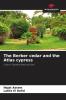 The Berber cedar and the Atlas cypress