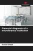 Financial diagnosis of a microfinance institution