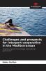 Challenges and prospects for interport cooperation in the Mediterranean
