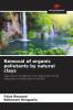 Removal of organic pollutants by natural clays