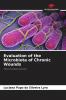 Evaluation of the Microbiota of Chronic Wounds