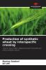 Production of synthetic wheat by interspecific crossing