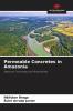 Permeable Concretes in Amazonia