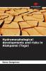 Hydromorphological developments and risks in Atakpam�� (Togo)