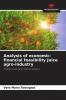 Analysis of economic-financial feasibility Juice agro-industry
