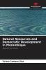 Natural Resources and Democratic Development in Mozambique
