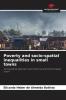 Poverty and socio-spatial inequalities in small towns