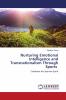 Nurturing Emotional Intelligence and Transnationalism Through Sports