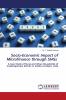 Socio-Economic Impact of Microfinance through SHGs