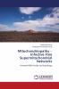 Mitochondriopathy ��� Infective Free Supermitochondrial Networks