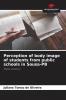 Perception of body image of students from public schools in Sousa-PB