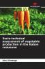 Socio-technical assessment of vegetable production in the Kabon commune