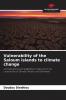 Vulnerability of the Saloum islands to climate change