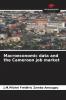 Macroeconomic data and the Cameroon job market
