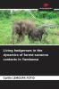 Living hedgerows in the dynamics of forest-savanna contacts in Yambassa