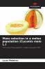 Mass selection in a melon population (Cucumis melo L.)