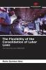 The Flexibility of the Consolidation of Labor Laws