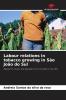 Labour relations in tobacco growing in S��o Jo��o do Sul