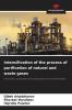 Intensification of the process of purification of natural and waste gases
