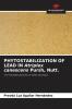 PHYTOSTABILIZATION OF LEAD IN Atriplex canescens Pursh Nutt.