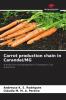Carrot production chain in Caranda��/MG